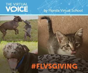 FLVS Giving