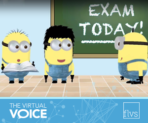 Minions in the Classroom