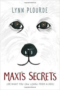 Maxis Secrets